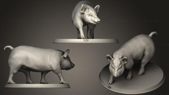 Статуэтки животных (Свинья, STKJ_1271) 3D модель для ЧПУ станка
